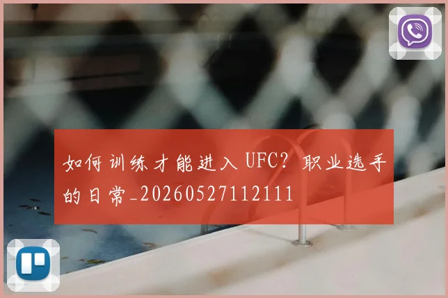 如何训练才能进入 UFC?职业选手的日常_20260527112111